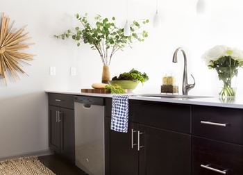 a kitchen with black cabinets and a sink with a plant on the counter